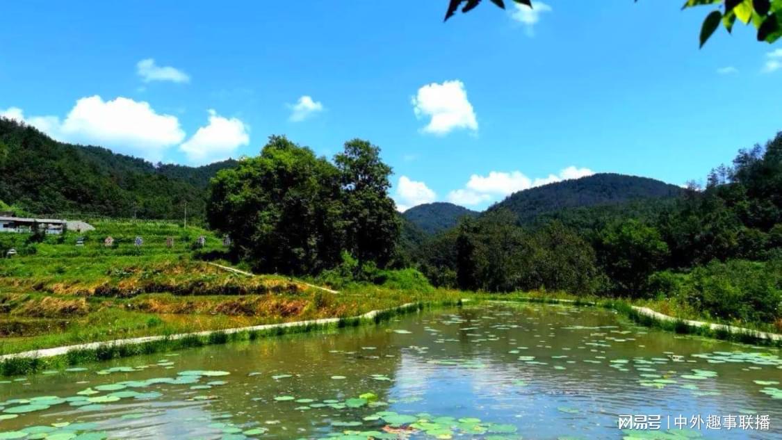 24小时ks业务自助下单平台ks